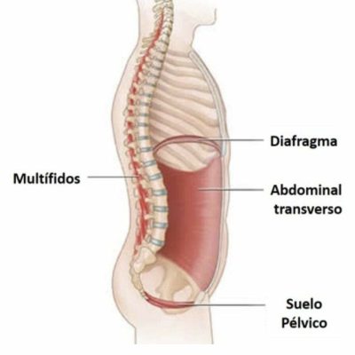 Fisioterapia suelo pélvico en hombres